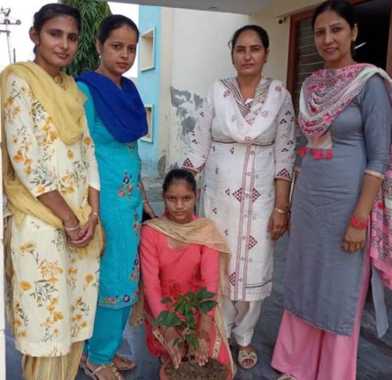 छात्रा ने स्कूल में पौधा लगाकर मनाया जन्मदिन