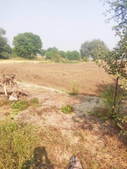 पेगां गांव में दुड़ाना रोड पर 9 एकड़ में बनेगा ड्राइविग प्रशिक्षण केंद्र
