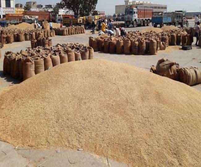 पश्चिम चंपारण में धान की खरीद नहीं होने से किसान परेशान, बिचौलियों की चांदी