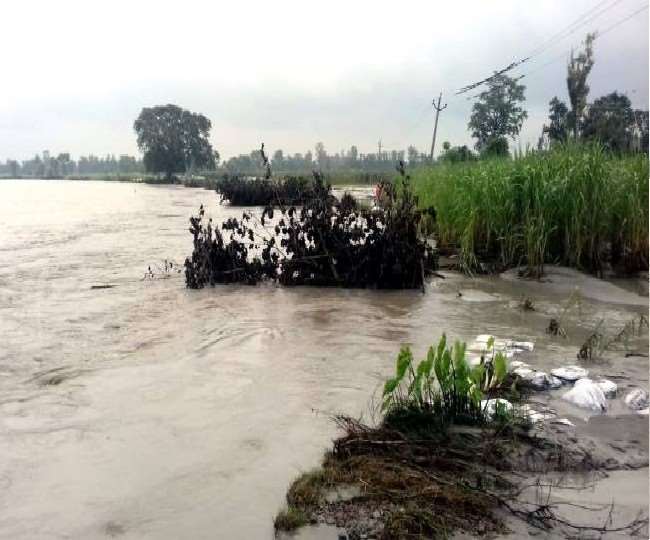 पीलीभीत में शारदा नदी का जलस्तर और बढ़ा, उत्तराखंड के बनबसा बैराज से फिर छोड़ा गया पानी