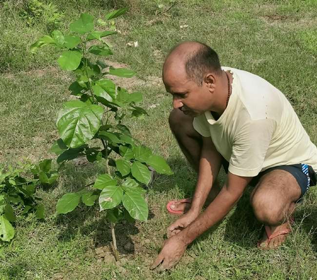पर्यावरण संरक्षण : भदोही में 1440 दिन से गुरुजी प्रतिदिन लगा रहे पौधे और सहेज रहे हरियाली
