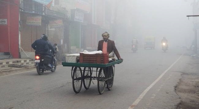 सुबह घना कोहरा, दोपहर की धूप नहीं दिला सकी राहत