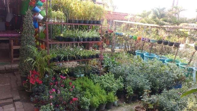 इजराइल तकनीक से बलिया में बनाएंगे पहली आधुनिक नर्सरी