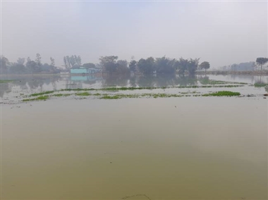 कटरा बुजुर्ग में फिर कटी नहर, फसलें जलमग्न