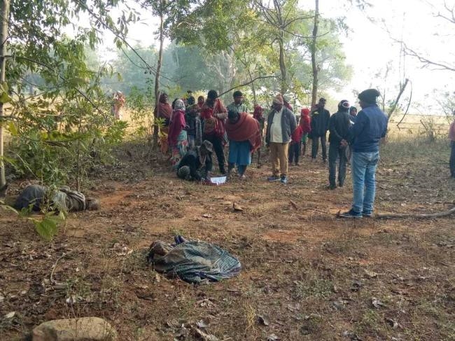 कामडारा में हाथी ने किसान को कुचल कर मार डाला