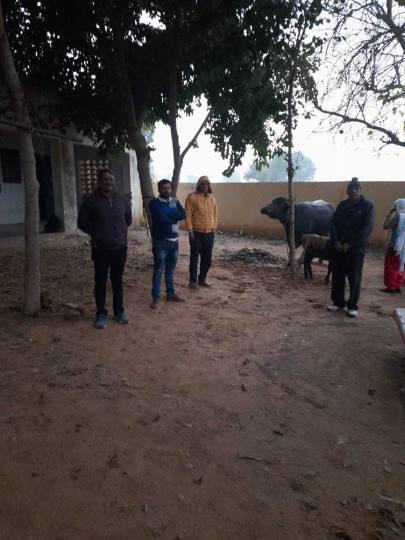 प्रतियोगिता में महेंद्र सिंह की भैंस ने दिया सबसे अधिक दूध