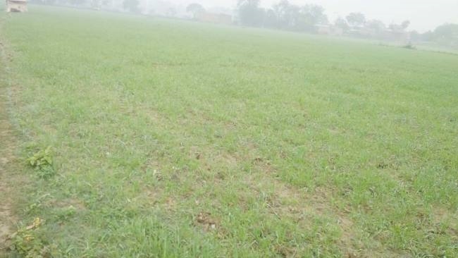 भिनगा को मिले रोडवेज बस डिपो तो बने बात