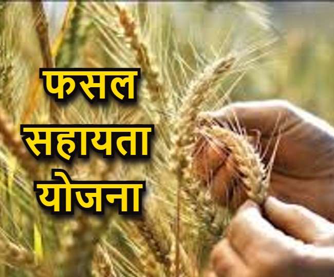 फसल सहायता योजना: बांका के किसान भाई दे ध्यान, आवेदन की अंतिम तारीख 28 मार्च, साथ रखें ये जरूरी कागजात