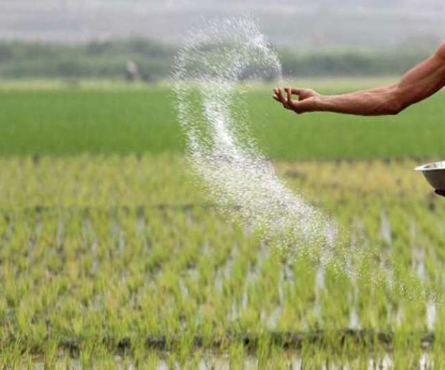 जिला कांगड़ा के डिपुओं में नहीं मिल रही यूरिया खाद, किसान हो रहे परेशान