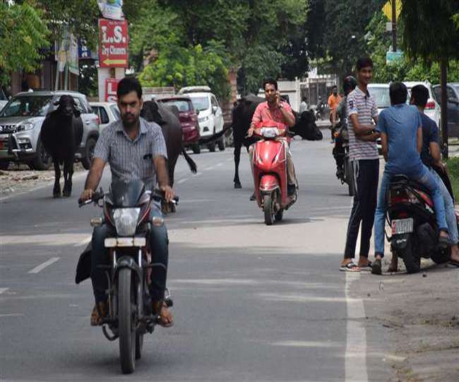 मोटरसाइकिल लेकर सड़क पर निकलने के पहले जरूर रखें ये जरूरी डॉक्यूमेंट्स, नहीं तो कटेगा भारी चालान