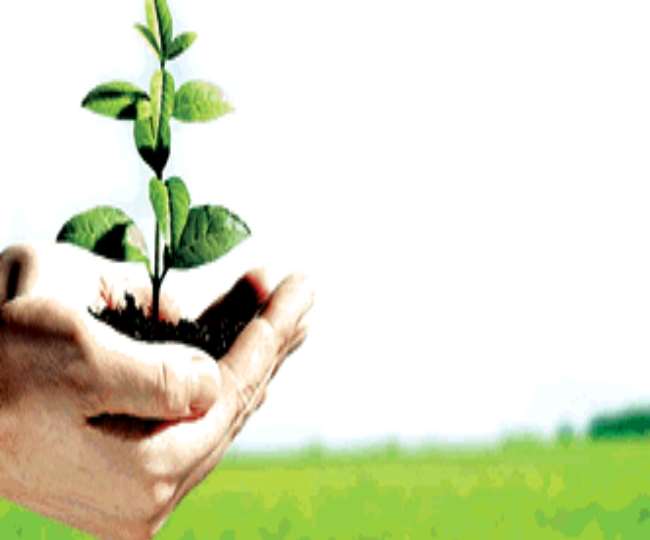 खेल मुख्यालय ने भेजा पत्र, अंतर्राष्ट्रीय ओलंपिक दिवस पर हरियाणा के सभी जिलों में लगेंगे 11 हजार पौधे