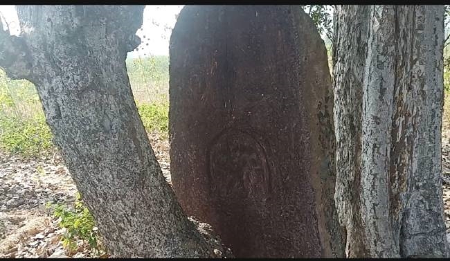 विशाल वृक्ष के नीचे है पांच फुट का मेगालीथ