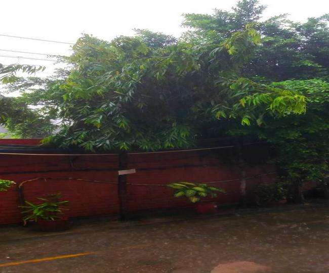 Jalandhar Weather Forecast: जालंधर में सुबह-सुबह जमकर बरसे बादल, कल से फिर सताएगी गर्मी