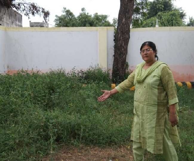 दो दिन बाद खुलने हैं स्कूल, पर मुरादाबाद के कई बेसिक स्कूलों में उगी है बड़ी-बड़ी घास, सैनिटाइजेशन भी नहीं हुआ