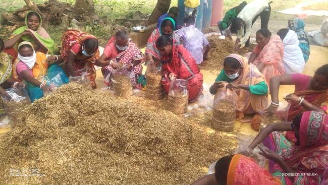 बालिया सेवाश्रम में शुरू हुआ मशरूम उत्पादन प्रशिक्षण