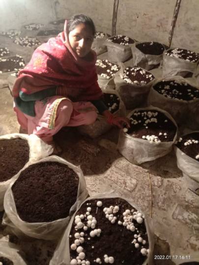 स्वरोजगार अपनाकर आत्म निर्भर बन रही महिला शक्ति