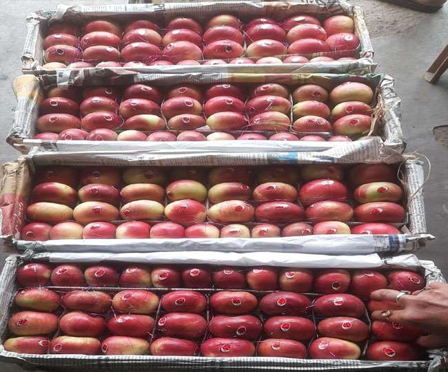 पौष का महीना बीत जाने के बाद भी धनबाद में नहीं सुधरा फल का कारोबार