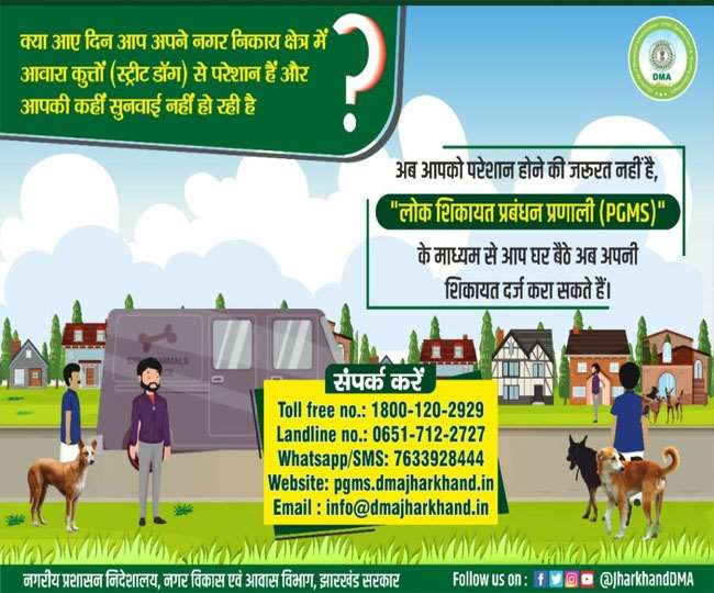 अगर आपको कुत्ते ने काट लिया...तो अपनाएं ये 5 उपाय
