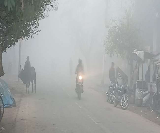 घने कोहरे में लिपटी सुबह, दोपहर से छाए रह सकते हैं बादल
