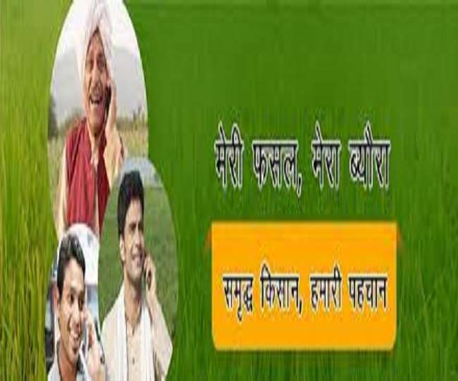 किसानों ने मेरी फसल मेरा ब्यौरा पोर्टल से बनाई दूरी, केवल 31 जनवरी तक पंजीकरण का मौका