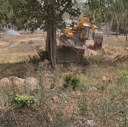 एनजीटी की रोक के बावजूद जारी हैं गैर वानिक गतिविधियां