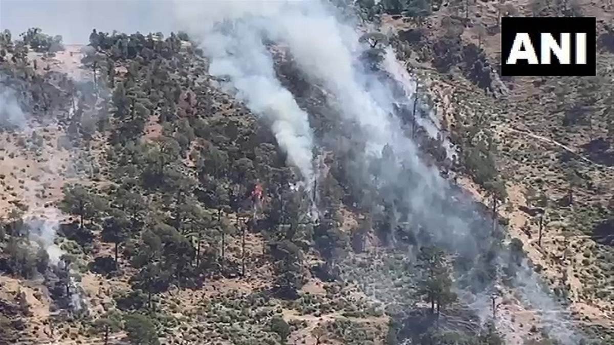 Fire in Jammu And Kashmir Forest: जम्मू-कश्मीर के रियासी जिले में लगी भीषण आग, पेड़ और अन्य वन सामग्री हुए नष्ट