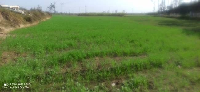 पूरे दिन बादलों की ओट में रहे सूर्य, तापमान में आंशिक बढ़ोतरी