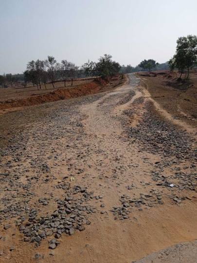 नारायणपुर-बुढ़ई रोड जर्जर, लोग परेशान