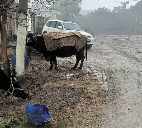 करोड़ों की कोठियां, सड़कें चवनी छाप
