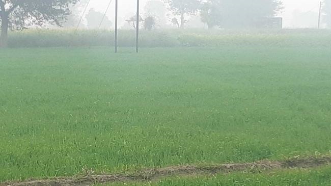 बूंदाबांदी से बढ़ी ठिठुरन, लगातार बारिश से किसान चितित