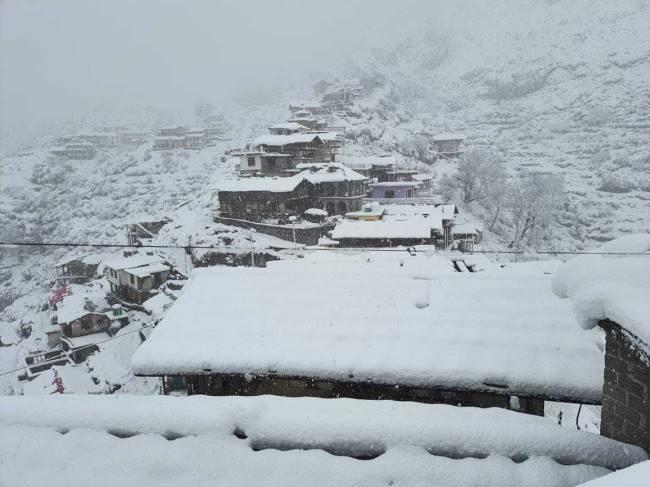 पर्वतीय फलों के लिए फायदेमंद जनवरी की अच्छी बर्फबारी