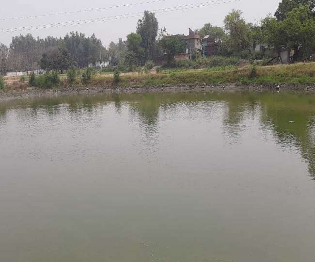 जानिए कहां पर पोखरे में बारिश का पानी बढ़ा रहा भूगर्भ जल स्तर Gorakhpur News