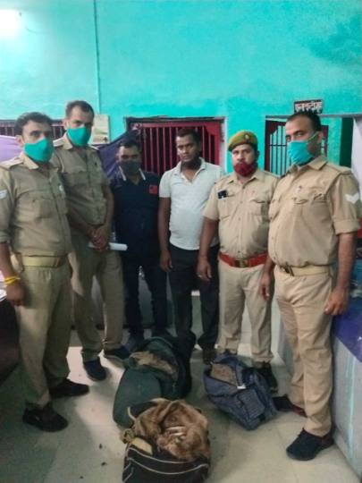 दून स्पेशल ट्रेन की बोगी से 100 कछुए बरामद