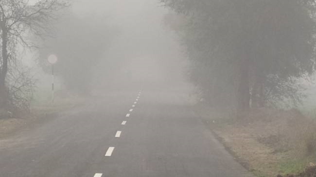 सुबह धुंध, दोपहर को बादल छाने से बढ़ी ठंड