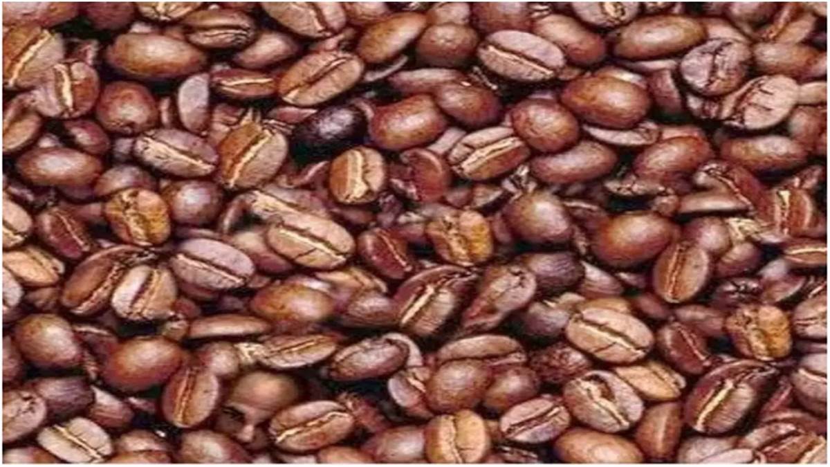 Viral Optical Illusion: कॉफी बीन्स के बीच क्या आप ढूंढ़ सकते हैं आदमी का चेहरा? जानें यह आपके दिमाग के बारे में क्या बताता है