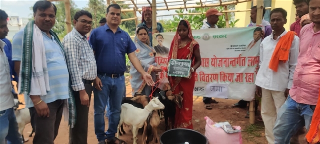 लाभुकों के बीच बकरा- बकरी वितरित