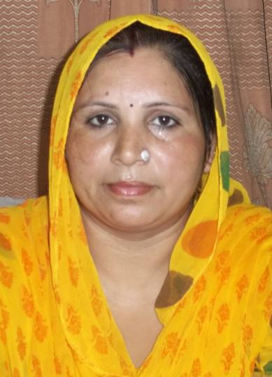 फरीदानगर फीडर नहर अनदेखी का शिकार, गाद के कारण ब्लाक होने की कगार पर; 100 एकड़ जमीन पर पैदावार हो रही प्रभावित
