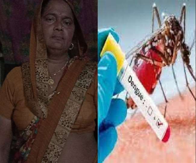 Dengue in Moradabad : मुरादाबाद में डेंगू से महिला की मौत, निजी अस्पताल में महिला का चल रहा था इलाज
