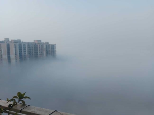दिन का पारा सात डिग्री लुढ़का, शीतलहर से कांपी औद्योगिक नगरी