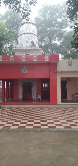 चलो गांव की ओर : गांव धनिया आत्म निर्भरता के साथ दूसरों को भी दे रहा रोजगार