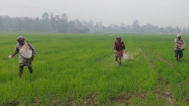 आसमान में ठहरे बादल, बूंदाबांदी ने बढ़ाई धड़कन