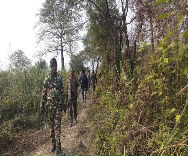 वीटीआर के मदनपुर के जंगल में दिखे संदिग्ध, पुलिस व एसटीएफ लगा रही गश्त