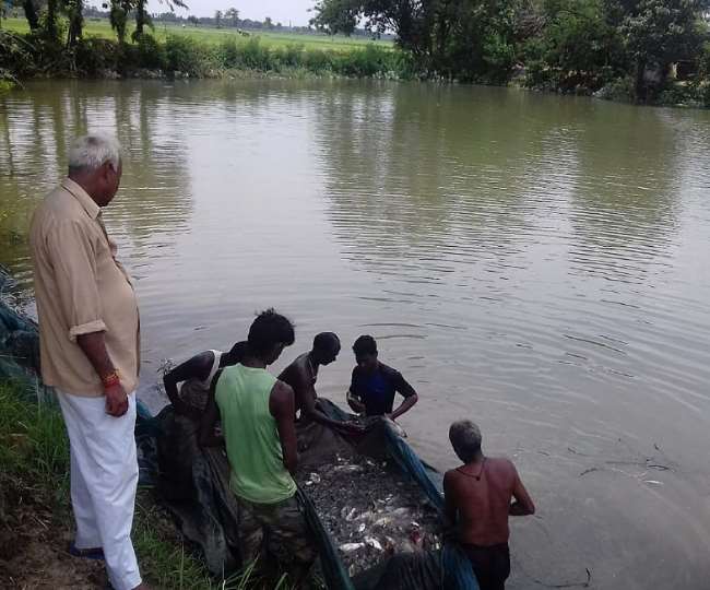 जानिए कौन है जो बाग लगाकर हरियाली को दे रहे बढ़ावा Gorakhpur News