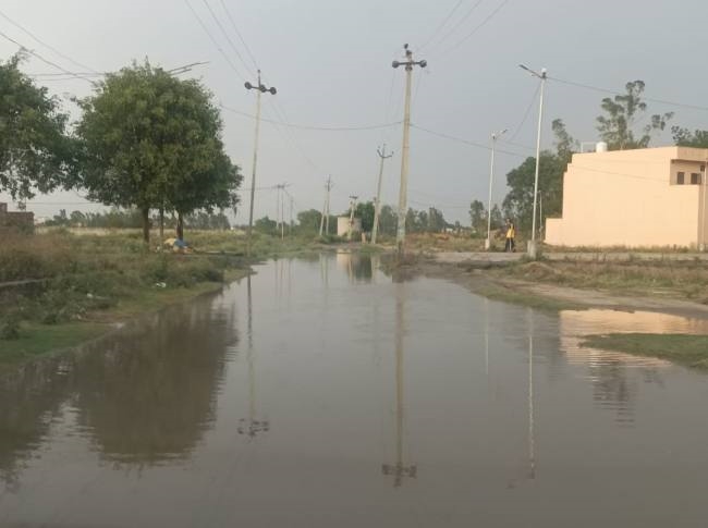 बेगोवाल से फूलपुर को जाने वाला मुख्य मार्ग बारिश में बन जाता है तालाब