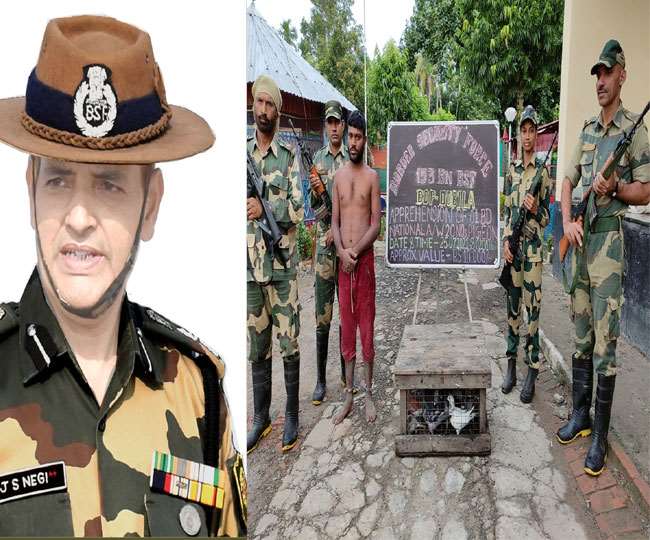 बीएसएफ ने सीमा पर दुर्लभ प्रजाति के 20 कबूतरों को तस्करी से बचाया, एक बांग्लादेशी तस्कर भी गिरफ्तार