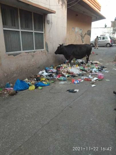 घर-घर से कचरा उठाने की शुरू हुई मुहिम पहले चरण में ही फ्लाप