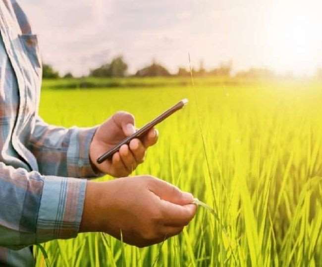 एग्रीकल्चर से बीएससी करने वाले युवाओं के लिए सरकारी नौकरी पाने का मौका, एआइसी ने इन पदों पर निकाली भर्ती