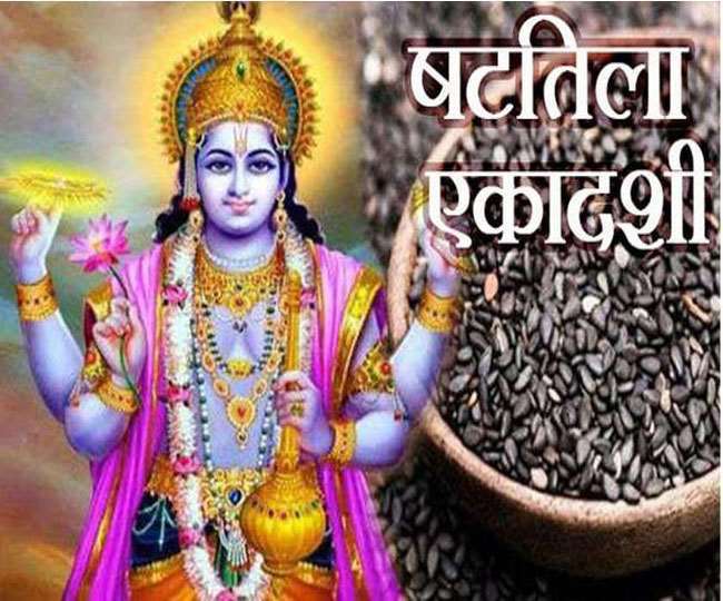Shattila Ekadashi 2022: षटतिला एकादशी पर किए जाते हैं तिल के 6 उपाय, मिलता है श्री हरि विष्णु का आशीर्वाद