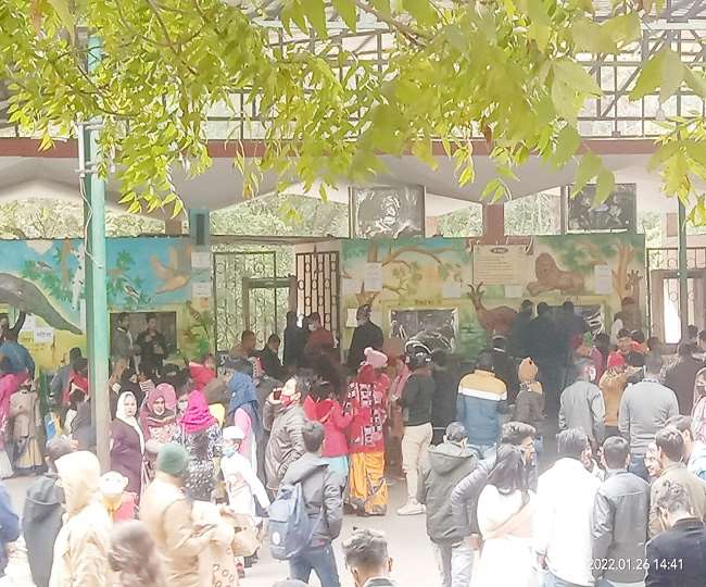 गणतंत्र दिवस पर दर्शकों की भीड़ से गुलजार हुआ कानपुर का चिड़ियाघर, सात हजार टिकट बिकी