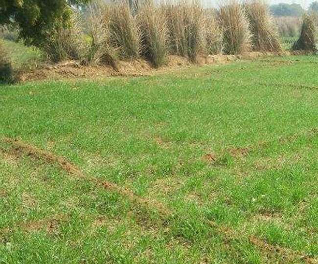 लाल डोरा खत्म करने की योजना का नंबरदार बना हरियाणा, 60 फीसद लोगों को मिलेगा लाभ